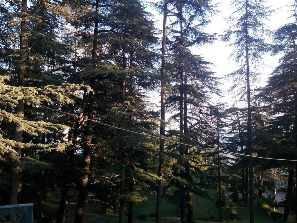Torrentium Lodge Σίμλα Εξωτερικό φωτογραφία